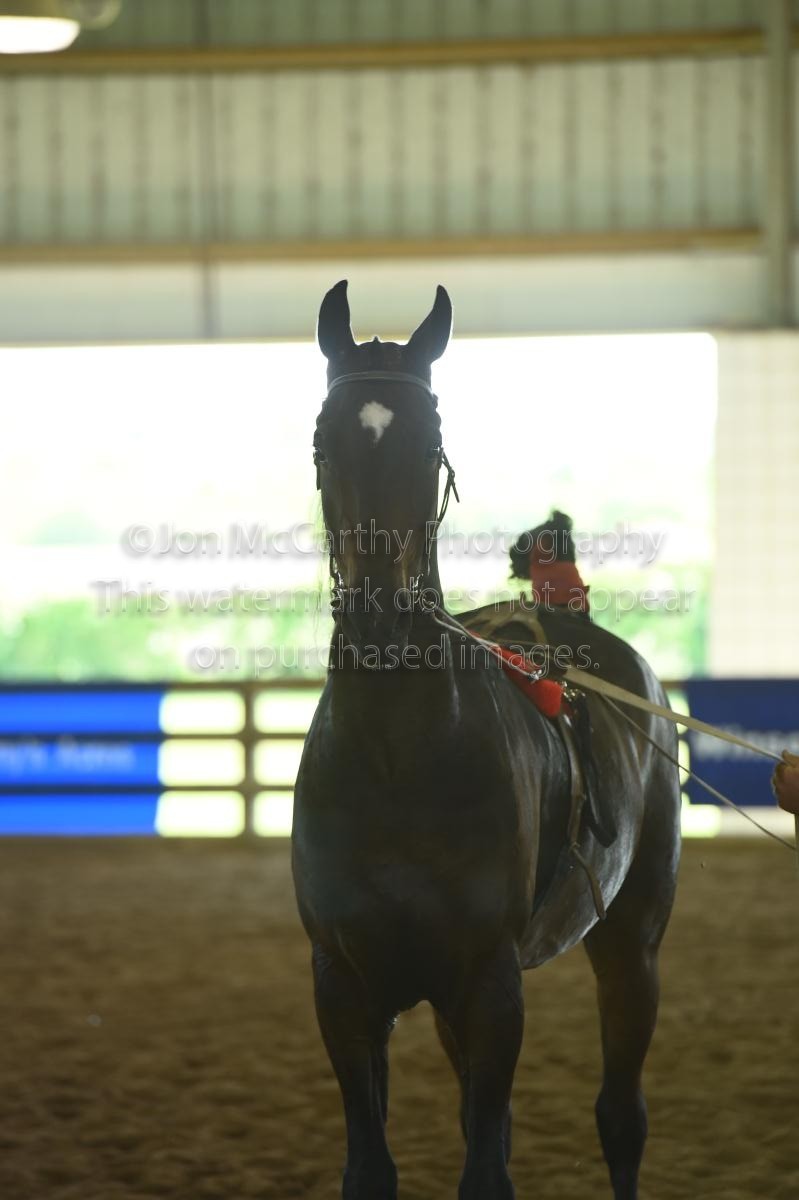 2015 Oshkosh Charity Horse Show Proofs 2015 Horse Shows
