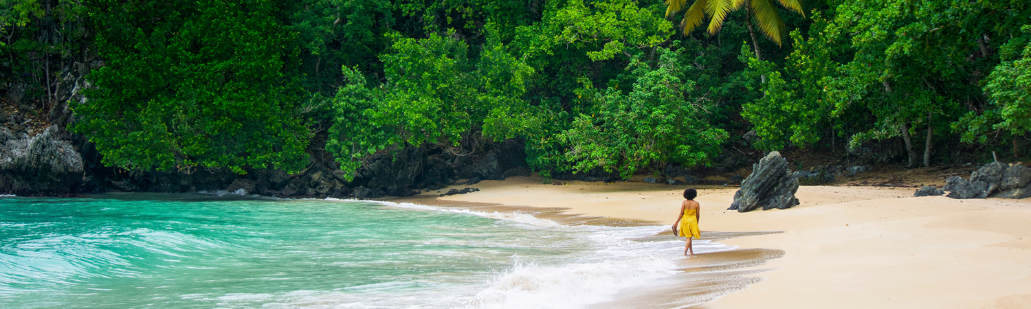 Land, Nature, Outdoors, Shoreline, Water, Sea, Person, Coast, Beach, Island