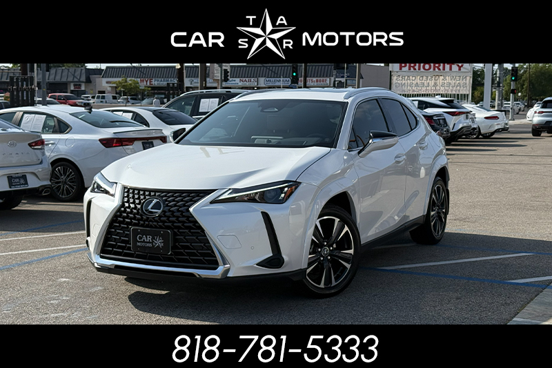 2025 Lexus UX 300h 300h