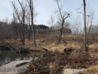 Hiking Pheasant Branch