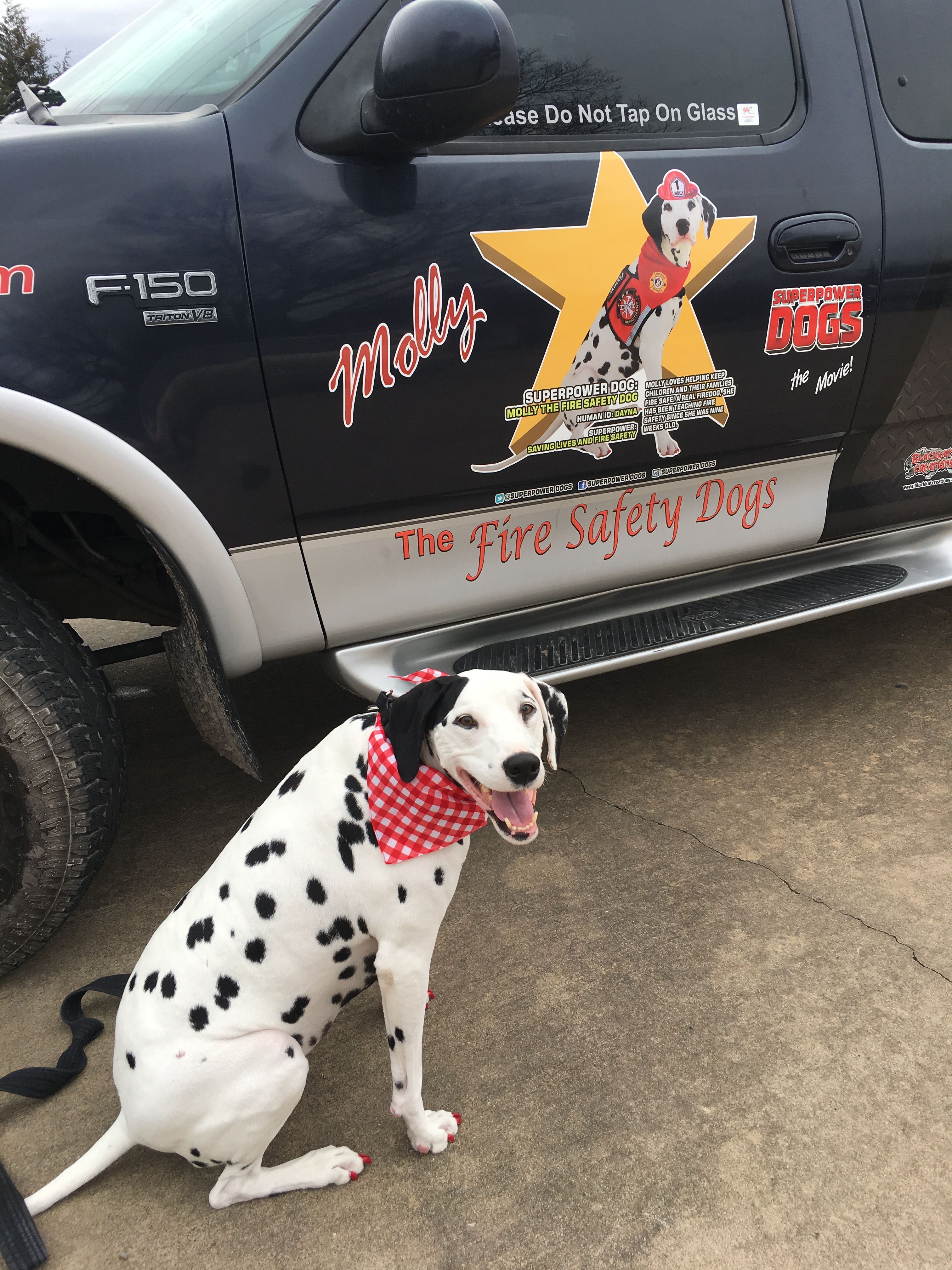 Fire Safety Training with Molly