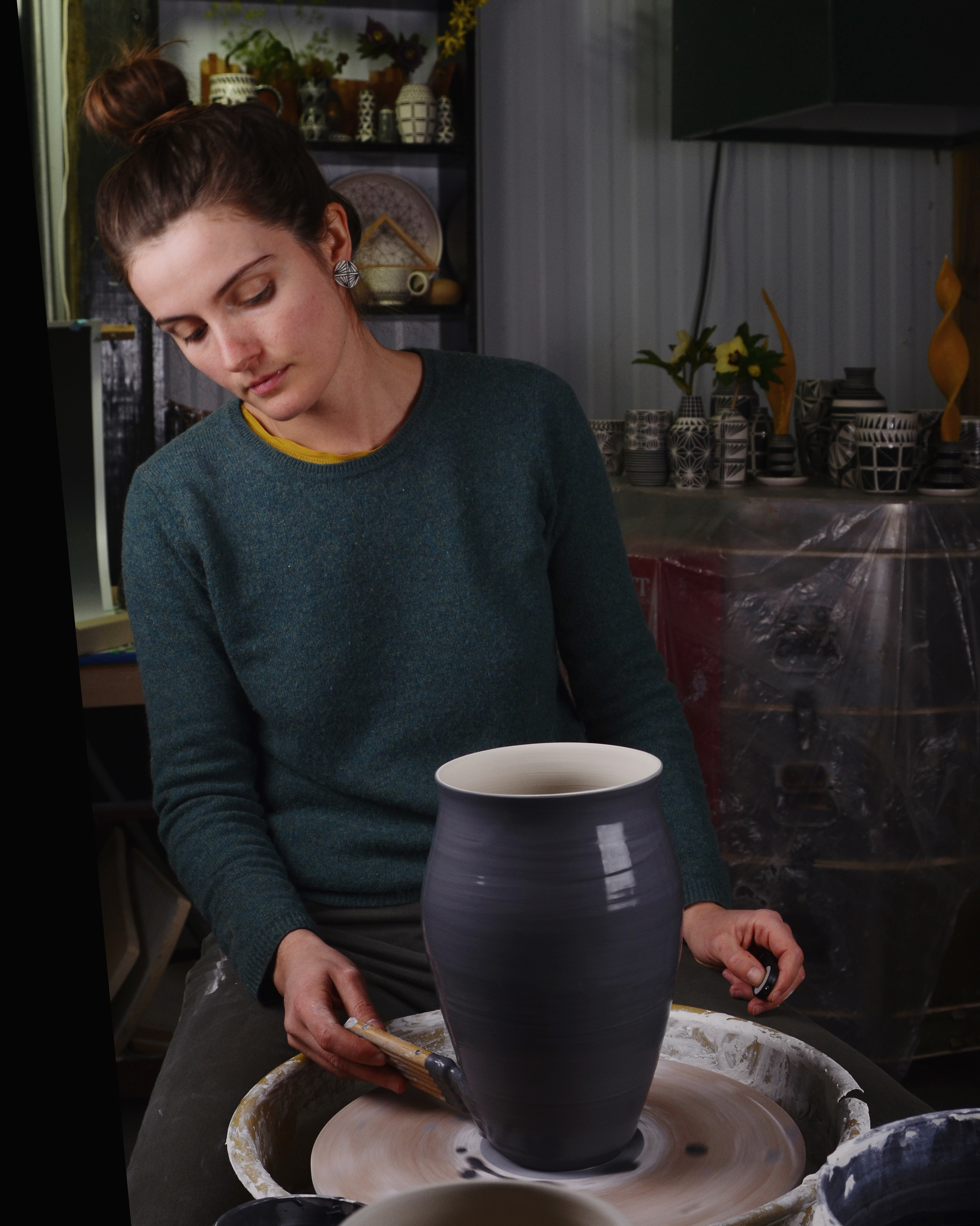 About the Artist - Dana Bechert