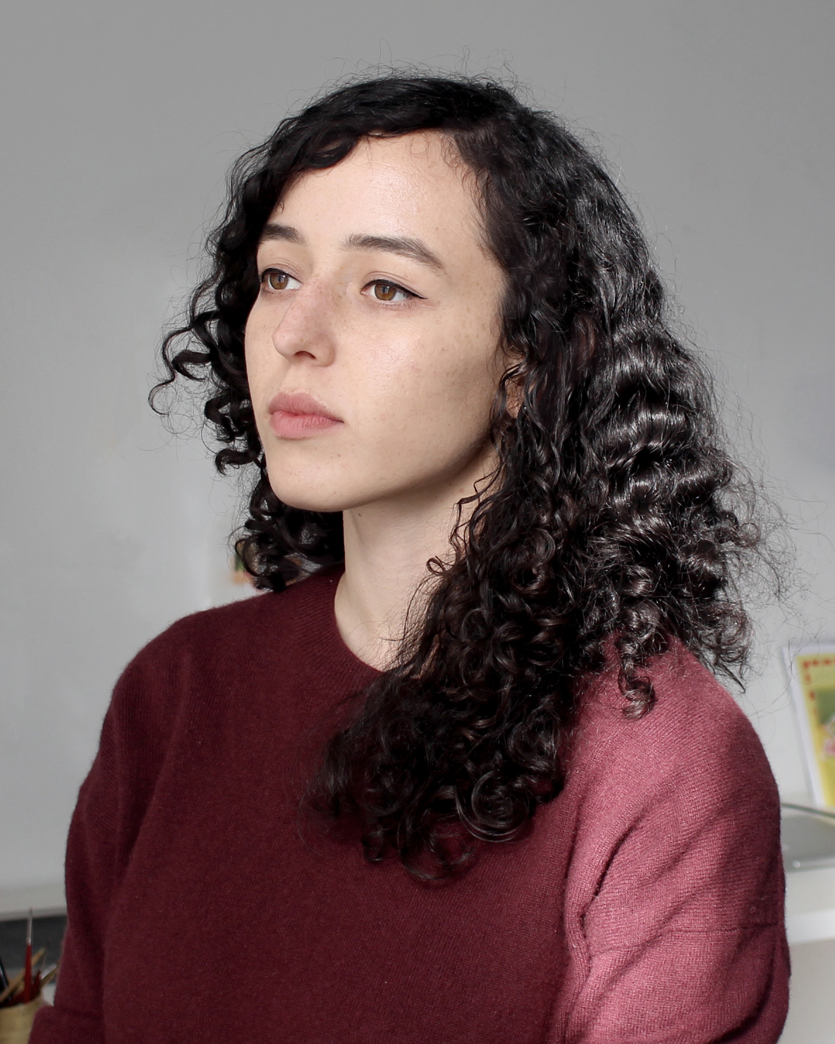 About the Artist - Rachel Levit Ruiz