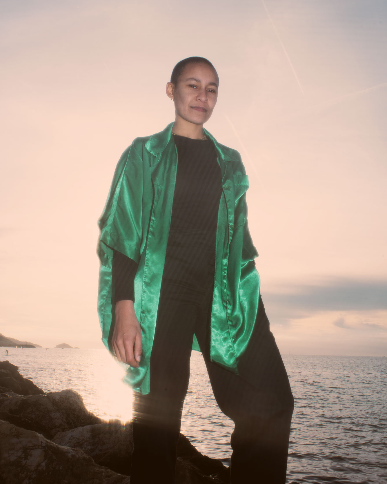 About the Artist - Roche