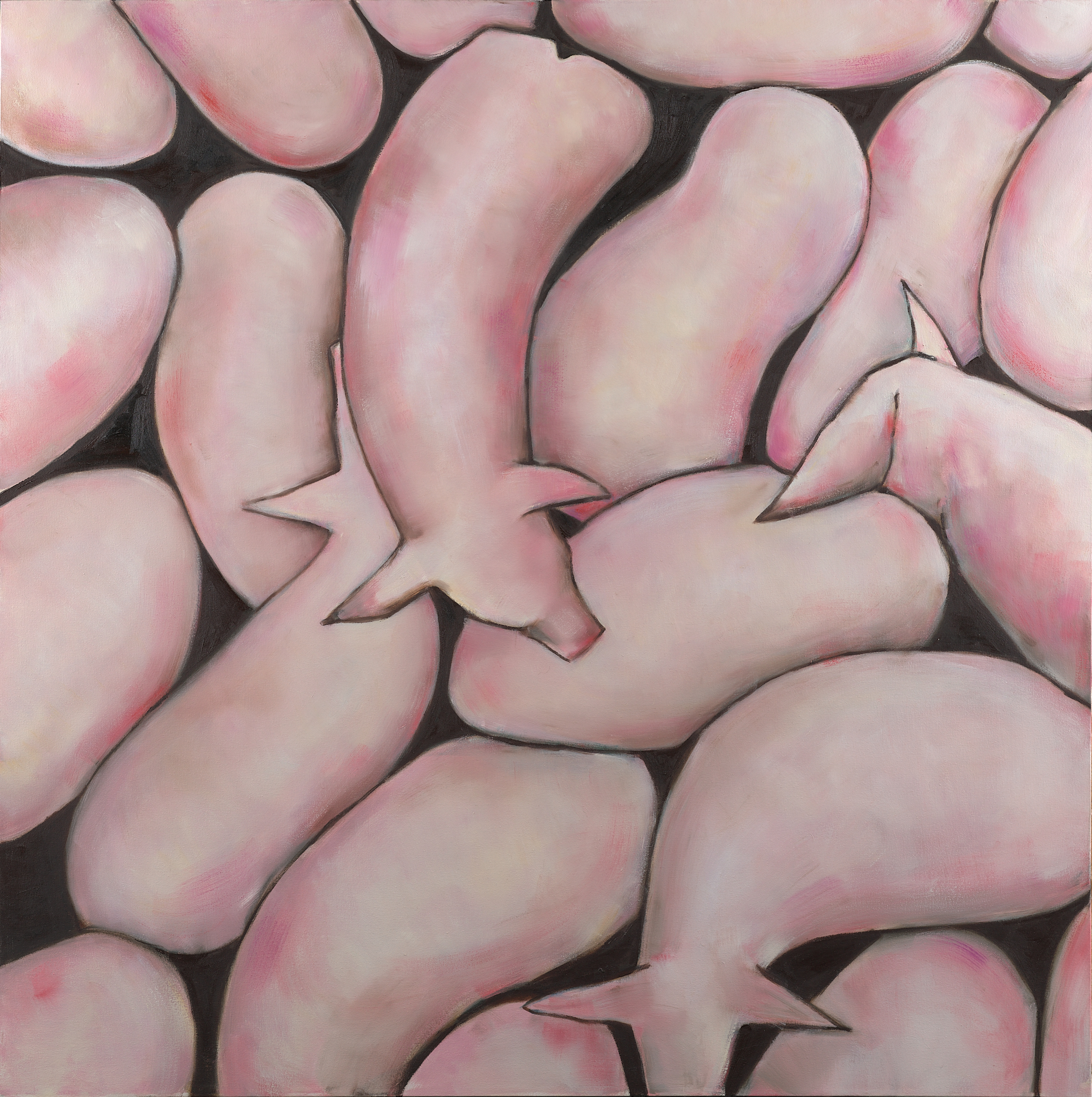 Squiggly Pigs