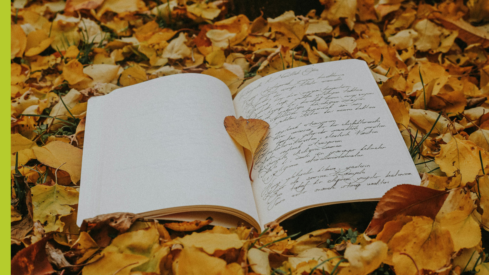 America's 250 Years: Poetic Responses