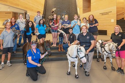 Menagerie at The Museum 2025