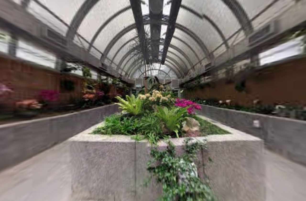 Experience 香港動植物公園in Virtual Reality Experience 香港動植物公園in Virtual Reality