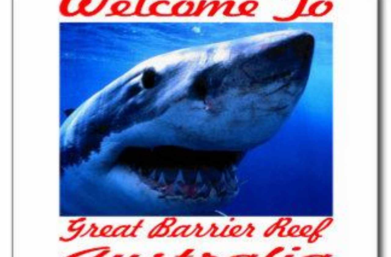 обоняние акулы. органы обоняния у рыб. обоняние акулы. треугольная акула. органы чувств хрящевых рыб.