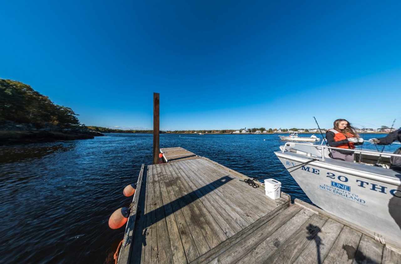 Experience Dock Test In Virtual Reality