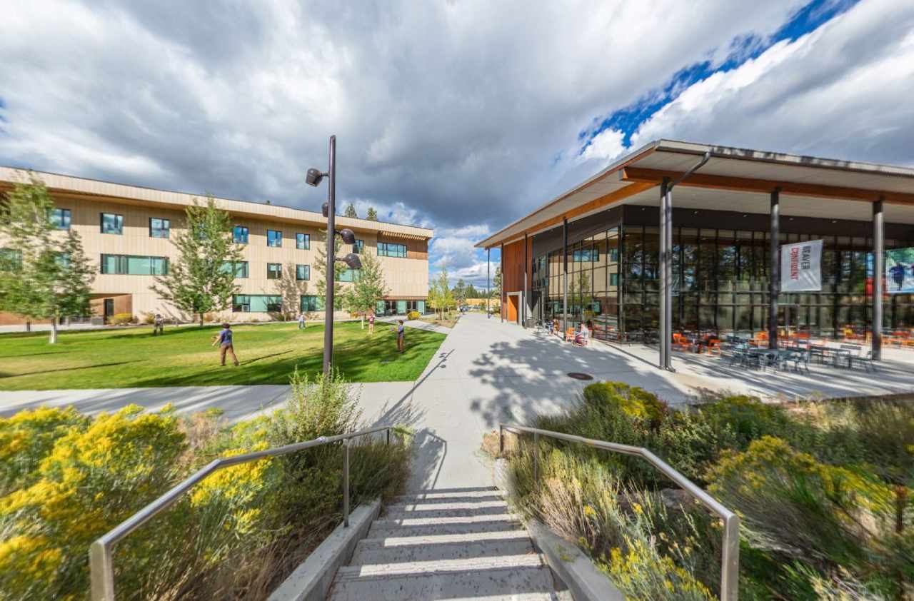 Experience OSU Cascades In Virtual Reality  experience-osu-cascades-in-virtual-reality