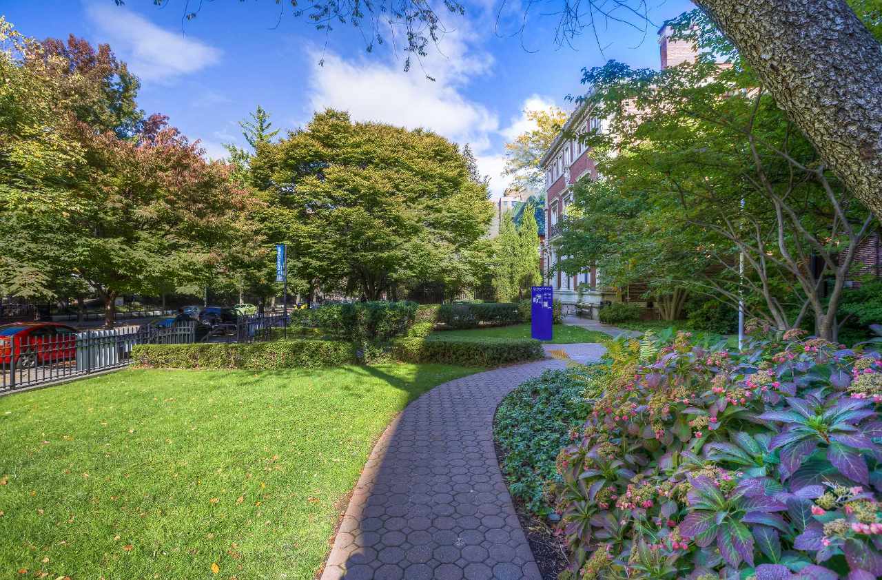 Experience Brooklyn Campus in Virtual Reality.