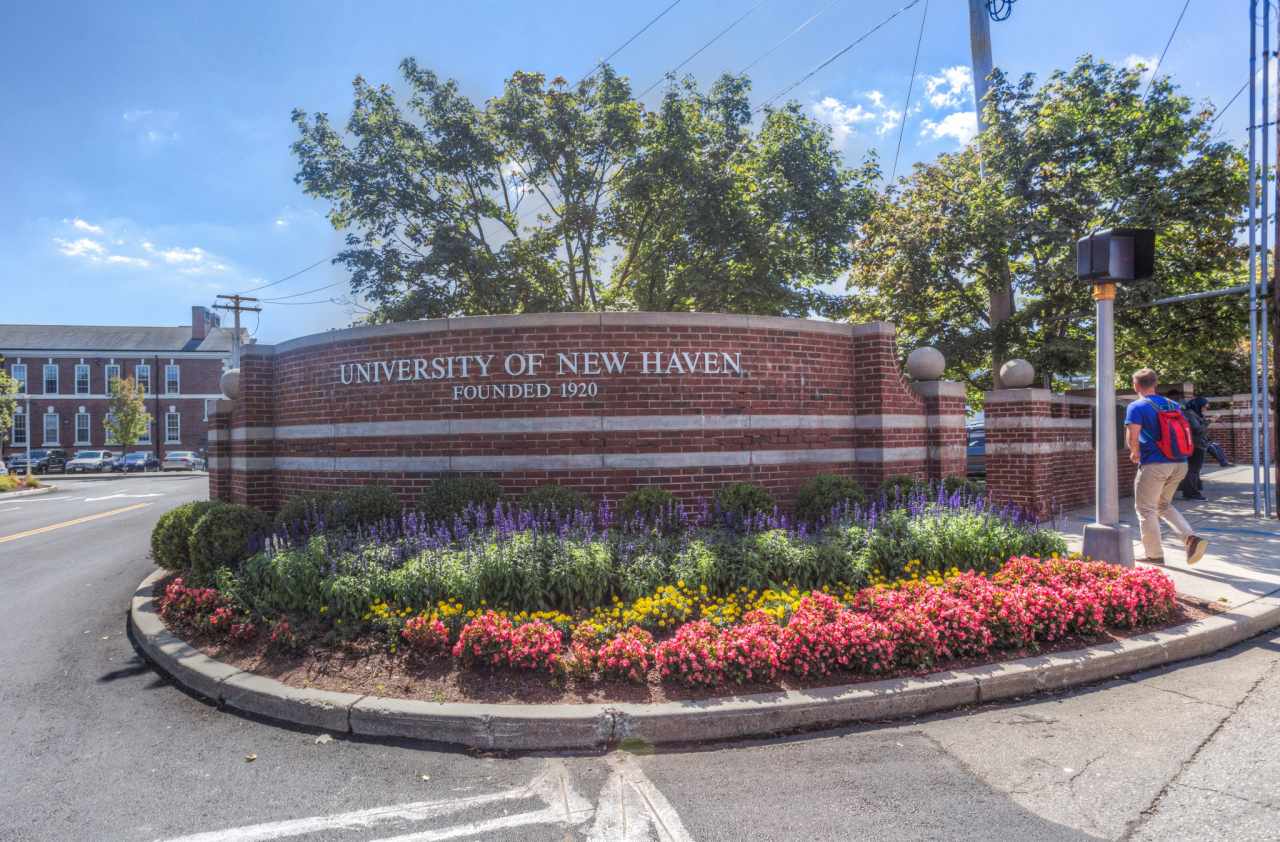 Experience University of New Haven in Virtual Reality