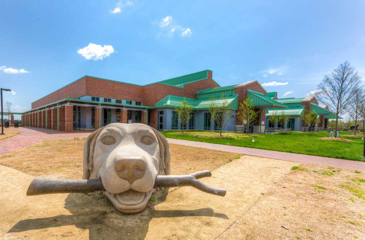 Experience Athletics and Veterinary Medicine in Virtual Reality