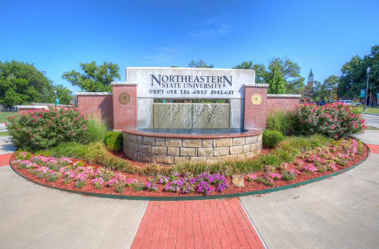 Experience NSUOK in Virtual Reality