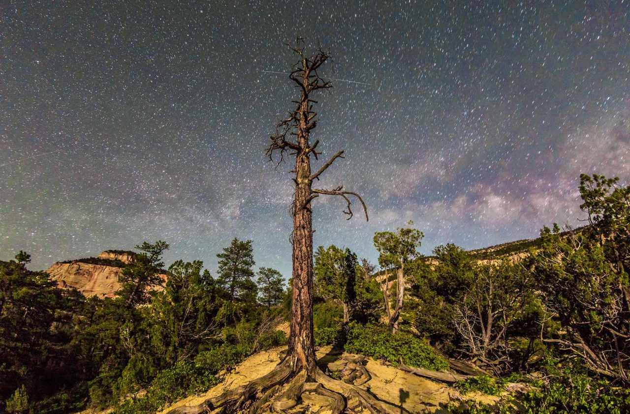 Experience Best of Zion in Virtual Reality.