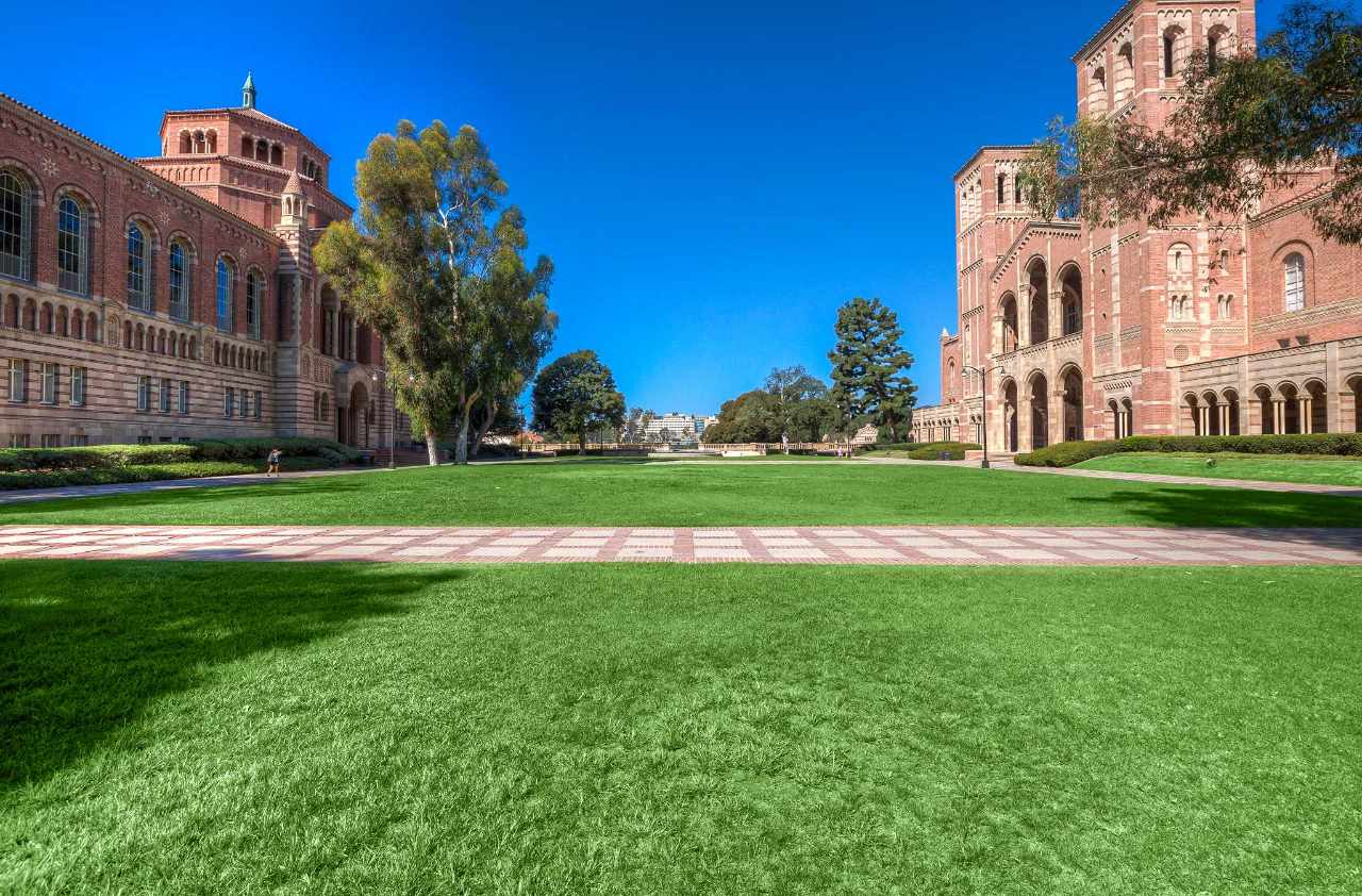 Experience University Of California Los Angeles In Virtual Reality  experience-university-of-california-los-angeles-in-virtual-reality