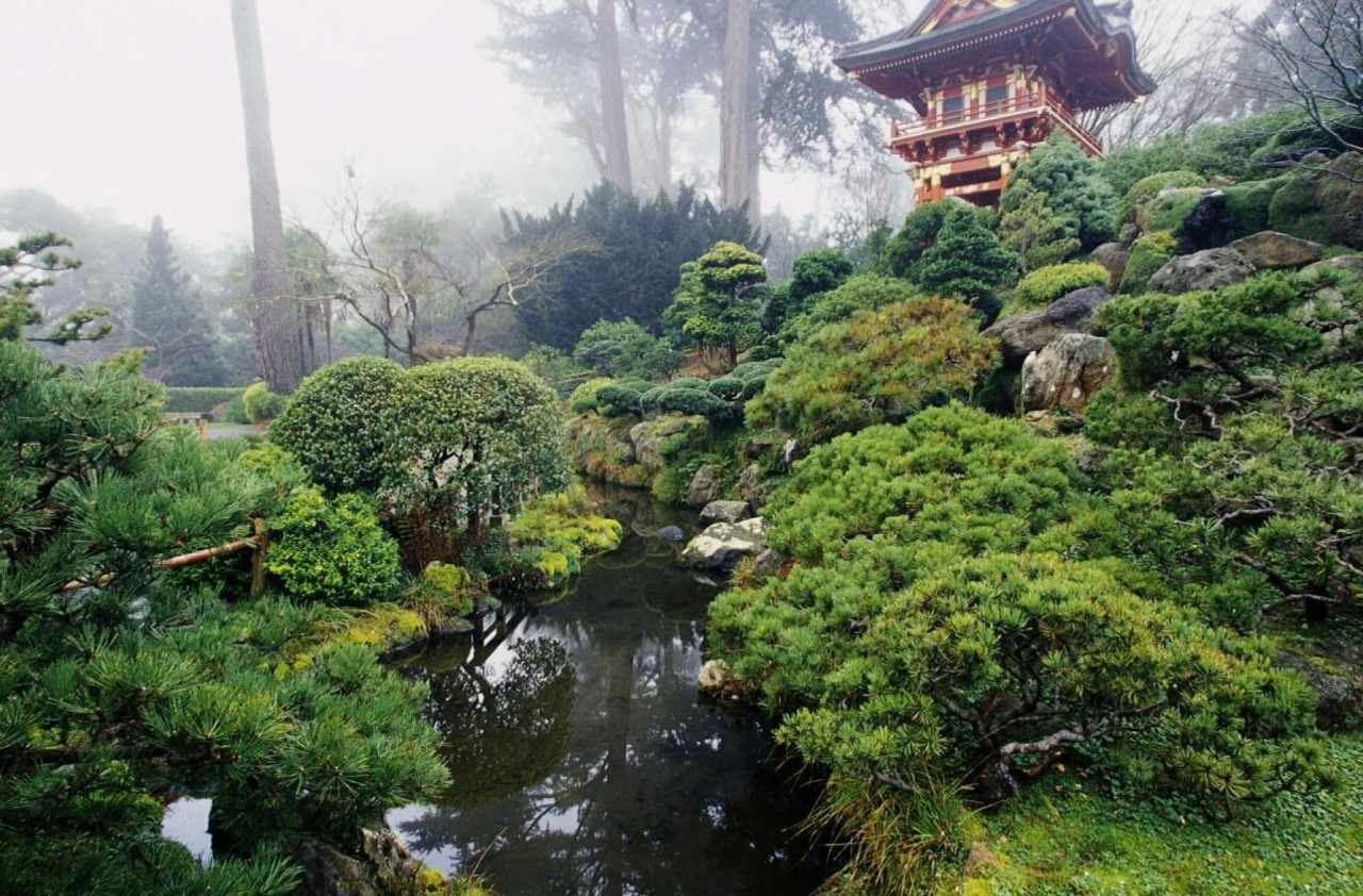 Experience San Francisco in Virtual Reality.